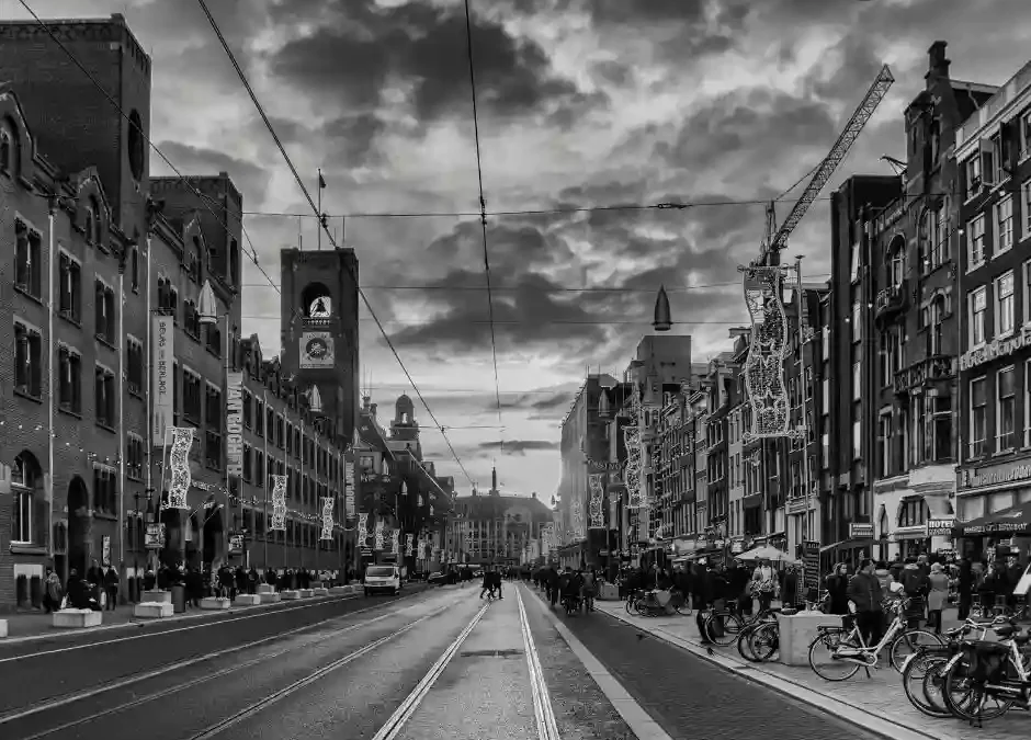 Bus Amsterdam Polska: Twoja Brama do Komfortowej Podróży z Holandii do Domu!🇳🇱➡️🇵🇱